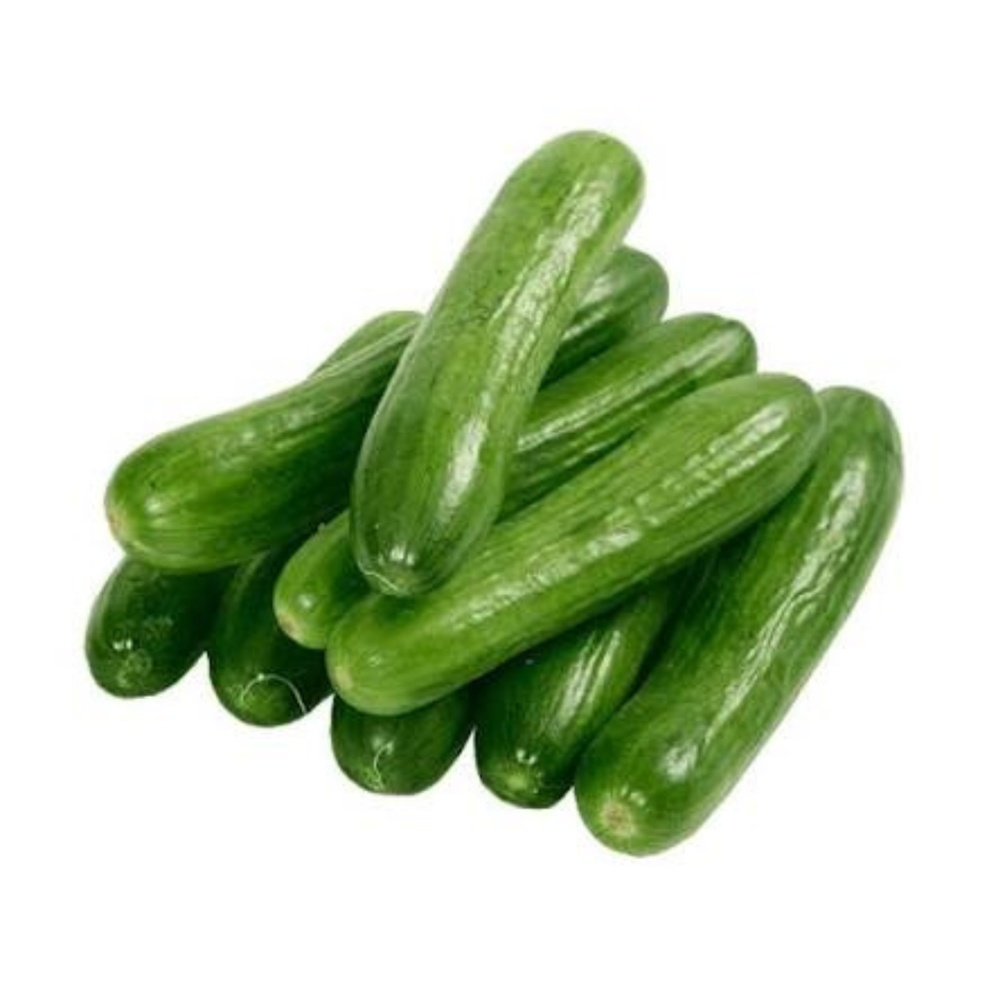 Fresh Cucumber Farmi