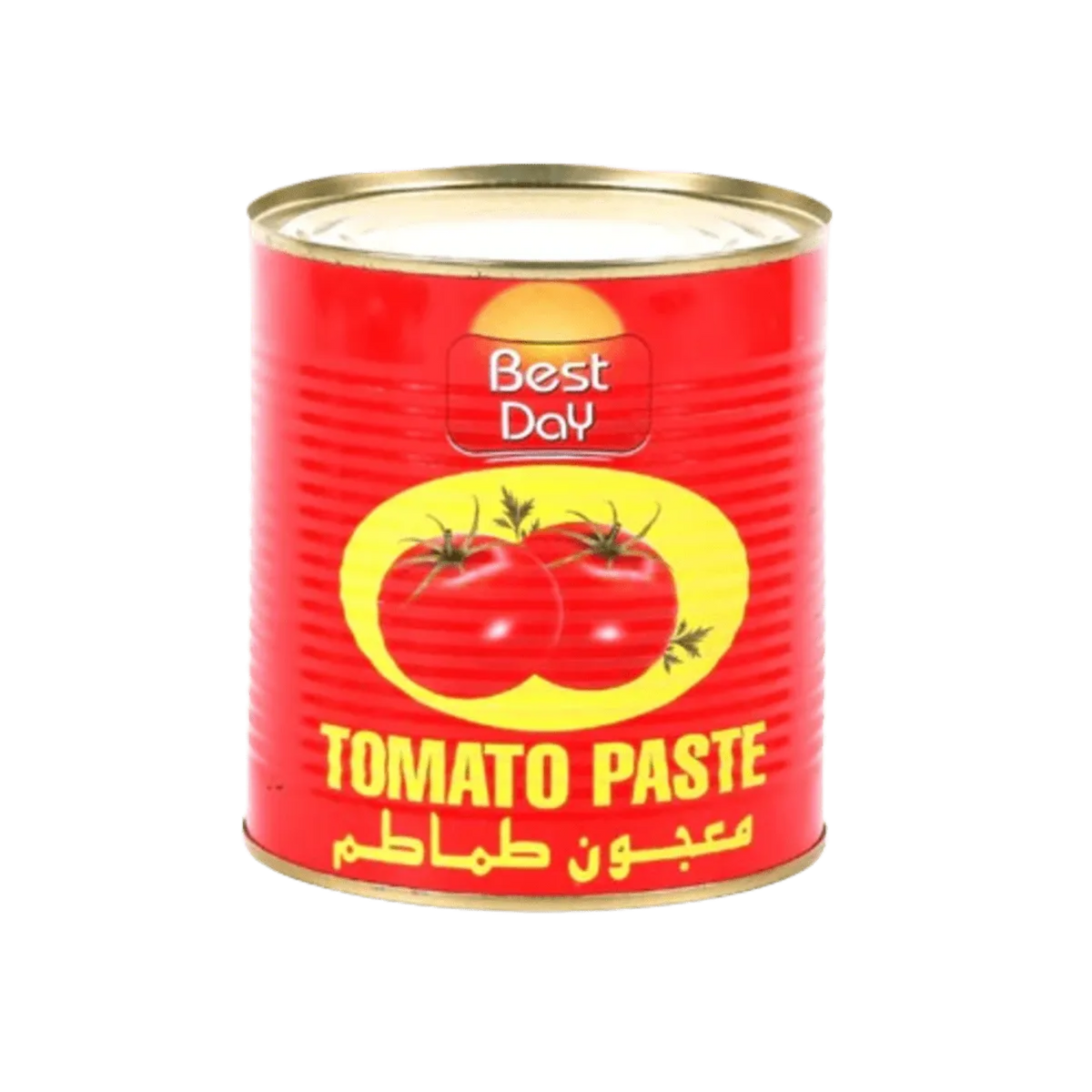 Best Day Tomato Paste 210g