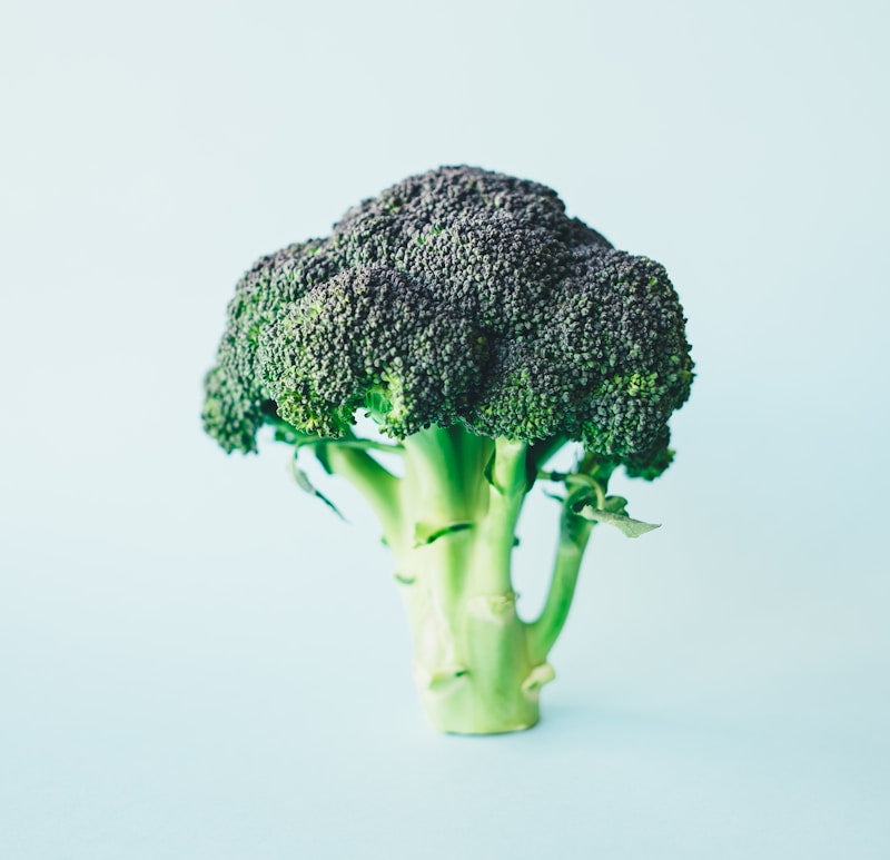 Fresh Broccoli