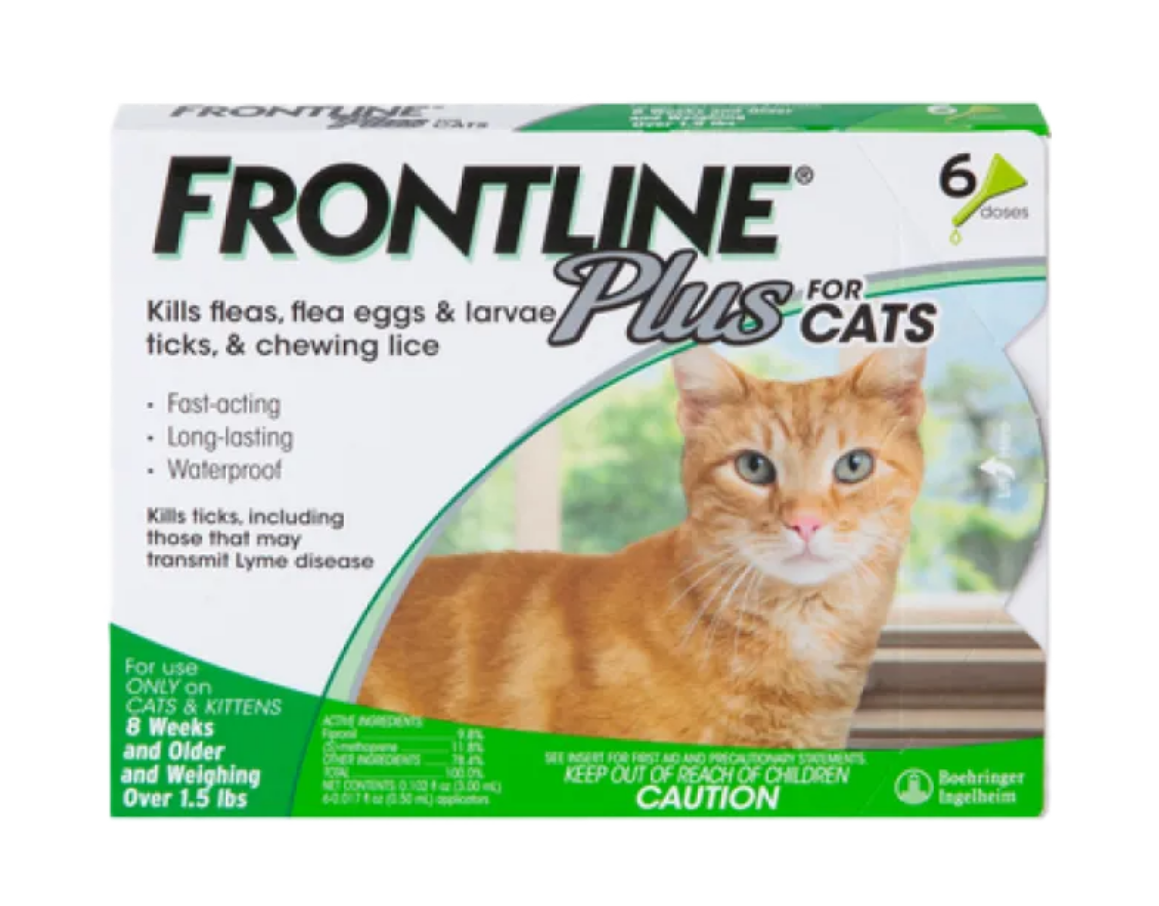Marvel Frontline Cat Flea Tick Shampoo 200ml
