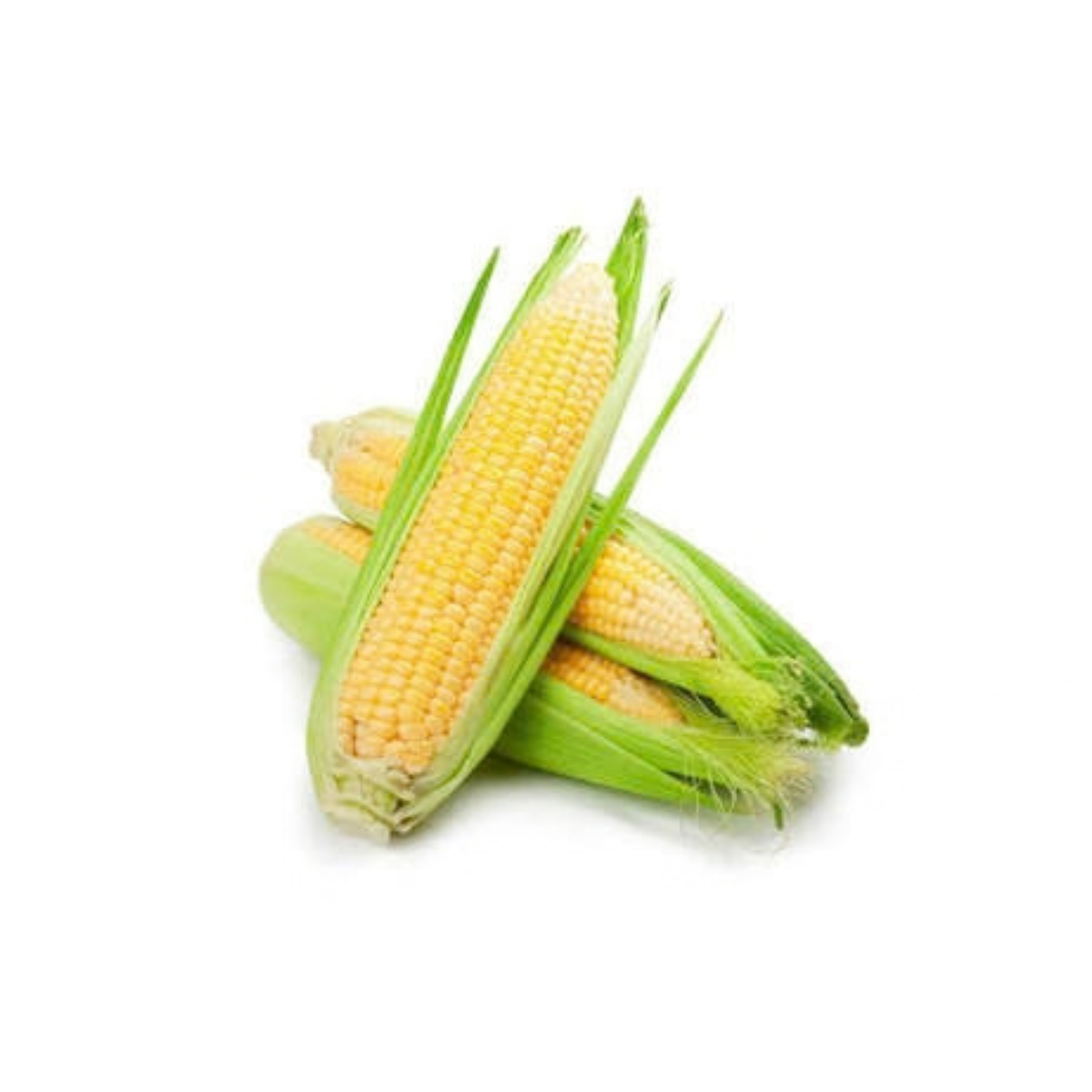 Fresh Veg Corn 1pc