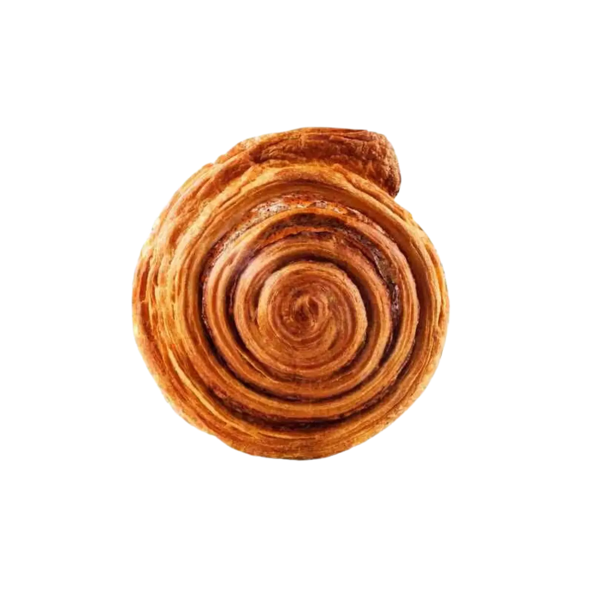 Cinnamon Walnut Roll 1Pc