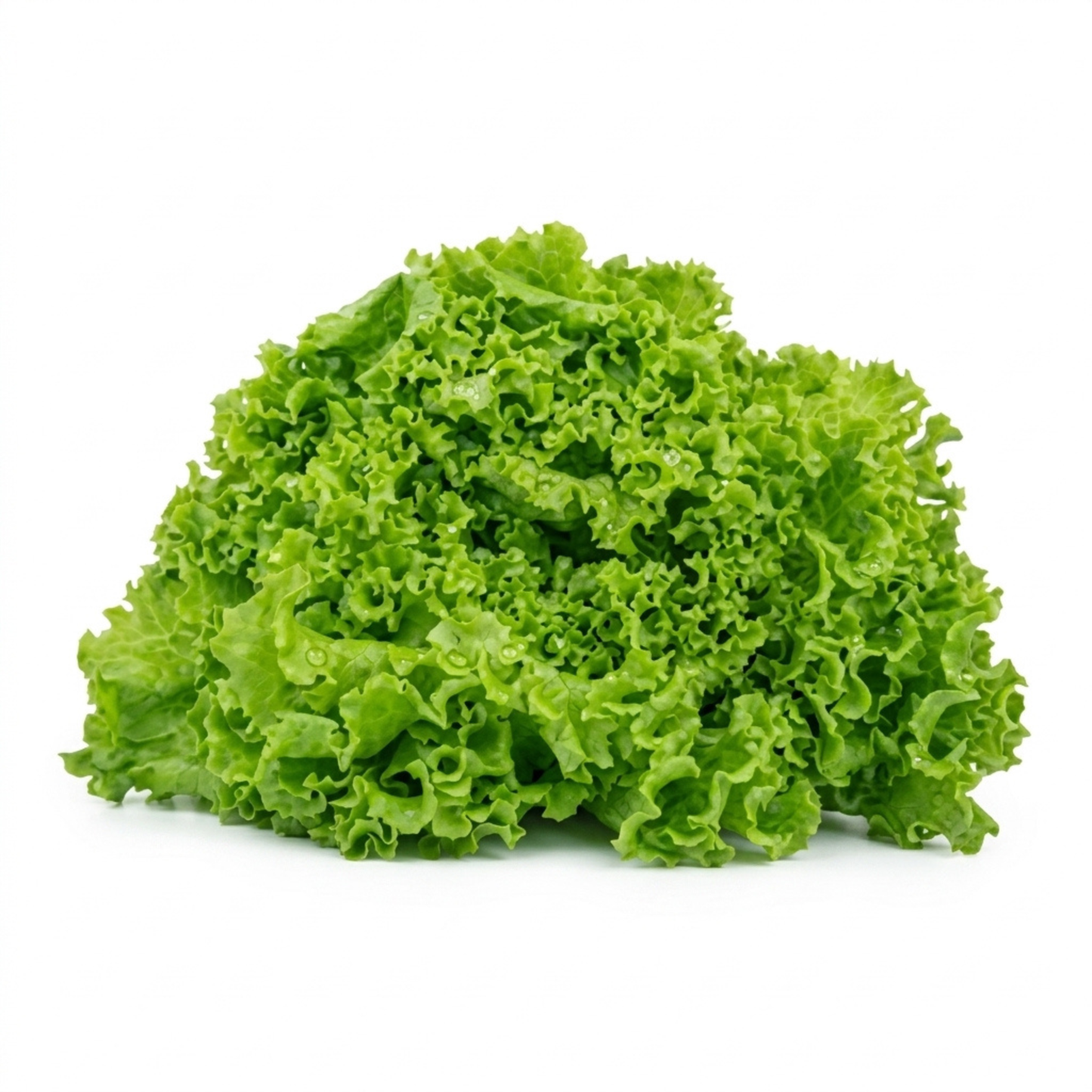 Realite Mixed Salad Leaves 100g