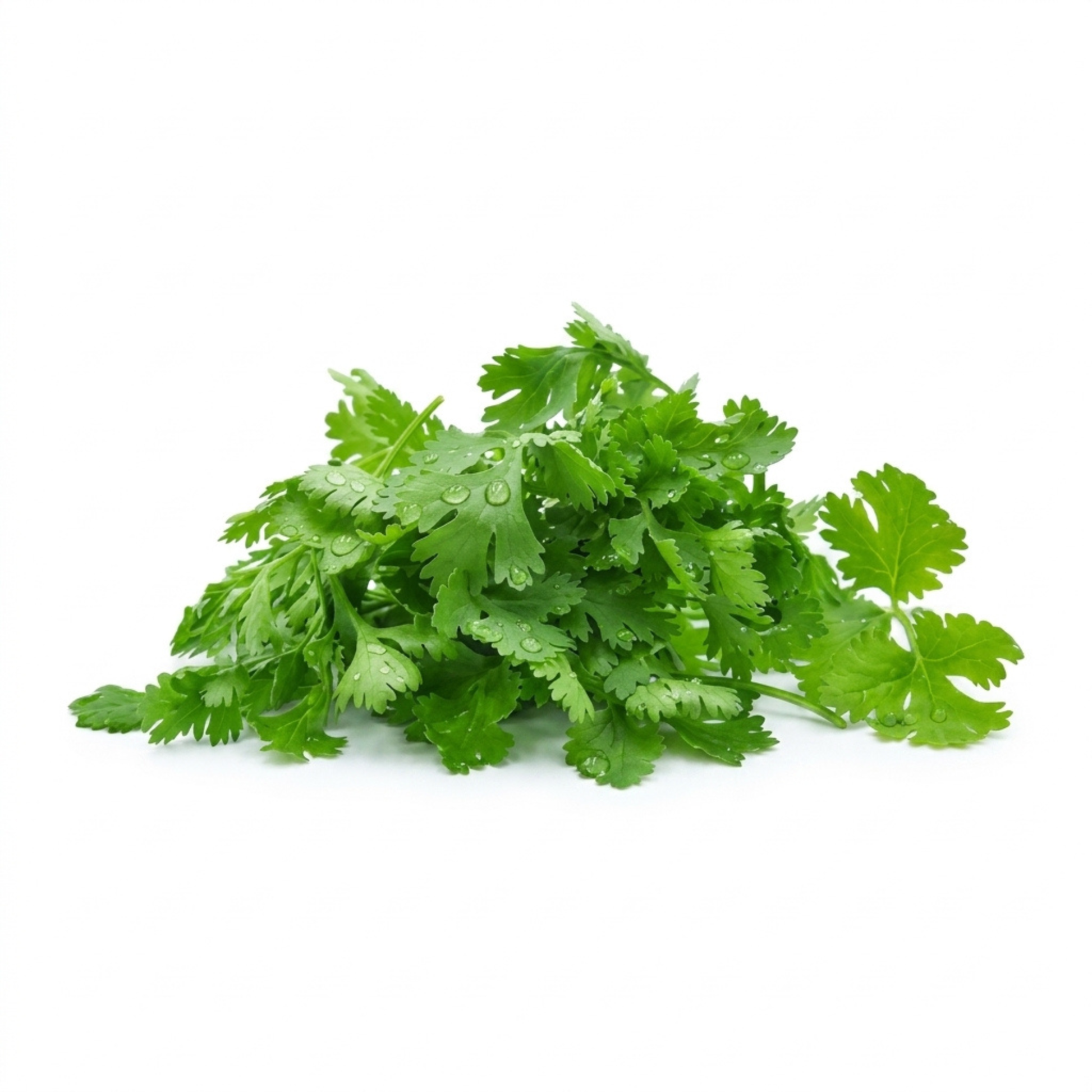 Realite Fresh Parsley