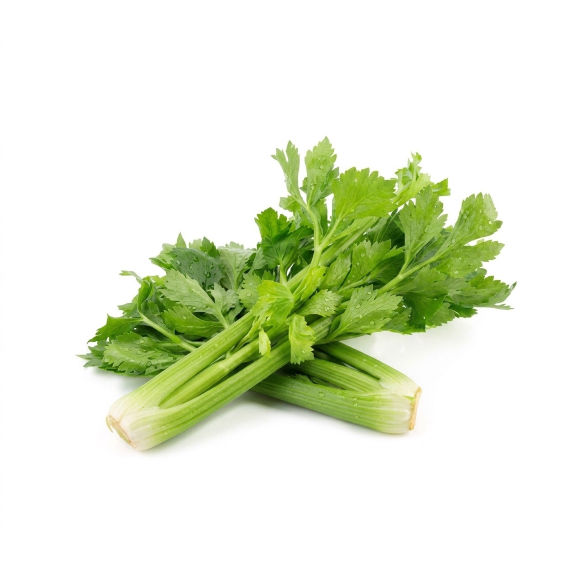 Realite Farms Celery 100g