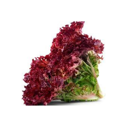 Realite Salad Leaves Red