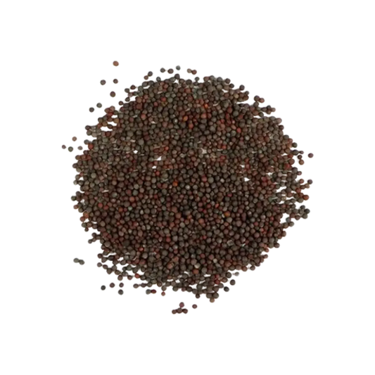 Ns Spice Mustard Seed 110G