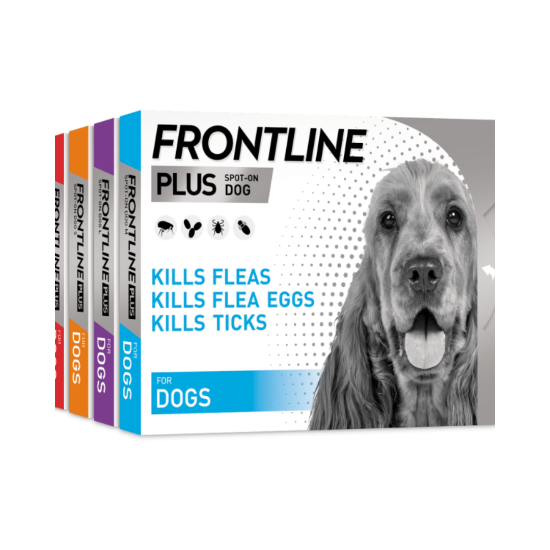 Marvel Frontline Dog Flea Tick Shampoo 200ml