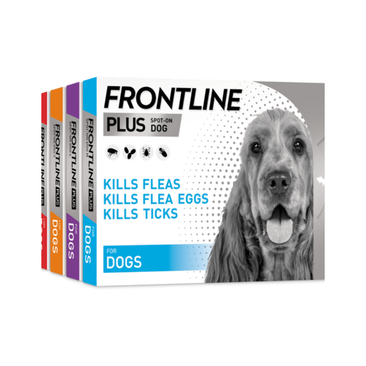 Marvel Frontline Dog Flea Tick Shampoo 200ml