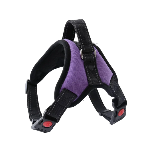 Catchcat Dog Harness Xxl