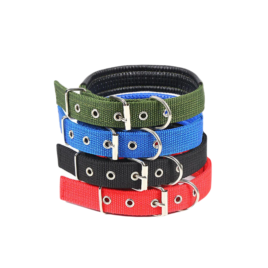 dog collor
