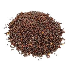 Best Food Rai Danna 100g