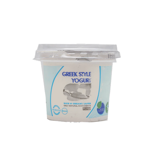 Anhaar Greek Style Yogurt 250g