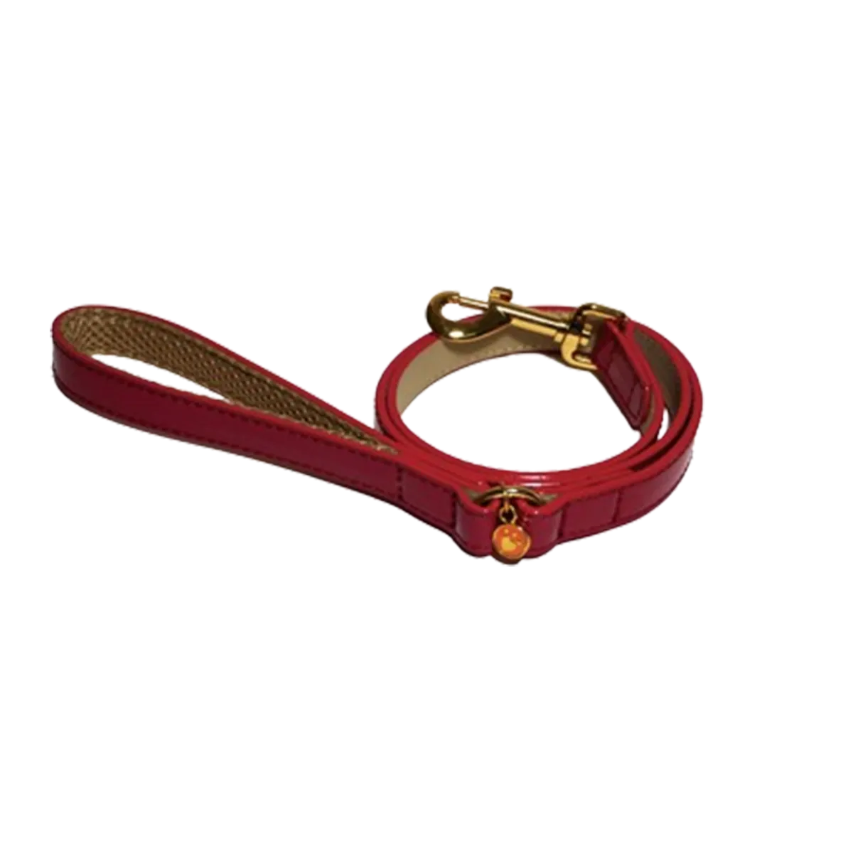 Charm Dog Collar & Leash 1.3 x 100cm
