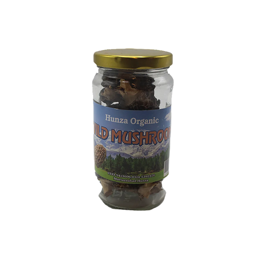 Hunza Organic Wild Mushroom 250g