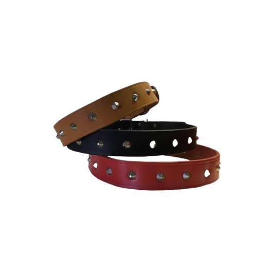 Leather Belt Dog