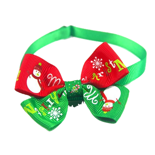Catchcat Cat Puppy Ribon