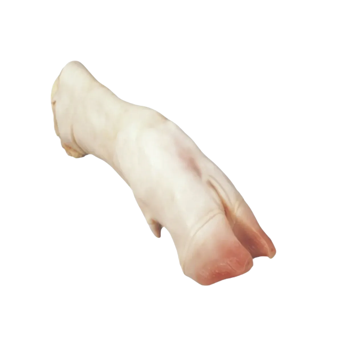 Fresh Meat Beef Trotters