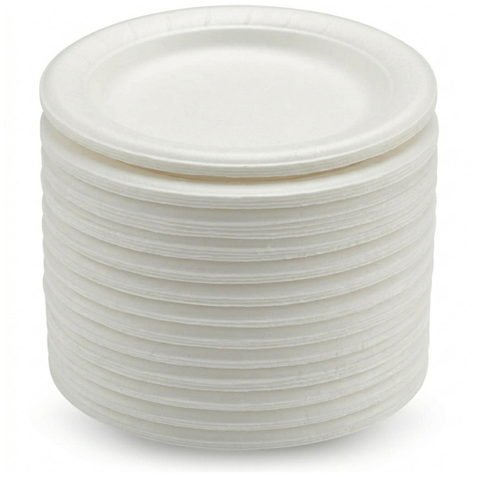 Disposable Plate 12pcs Small