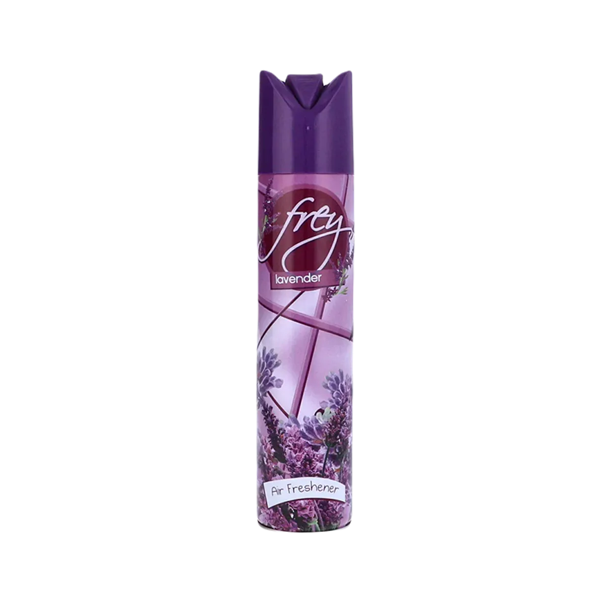 Air Freshener Silver Money House