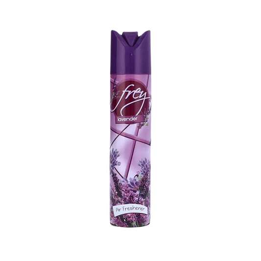 Air Freshener Silver Money House