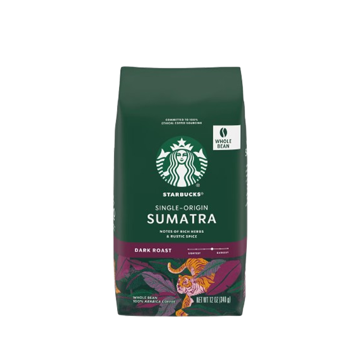 Sumatran Green Bean Coffee Dark Vennese Medium 250g
