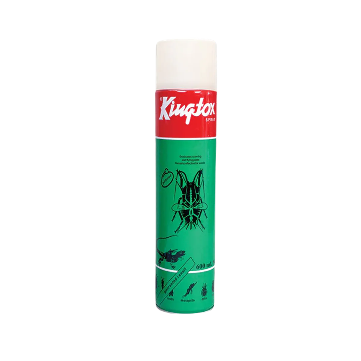 Smint & Gum Freshness Explosion Peppermint 13.9sd