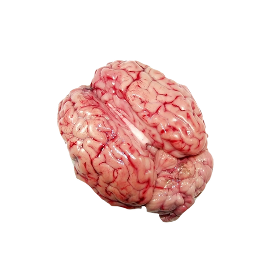 Fresh Meat Mutton Brain