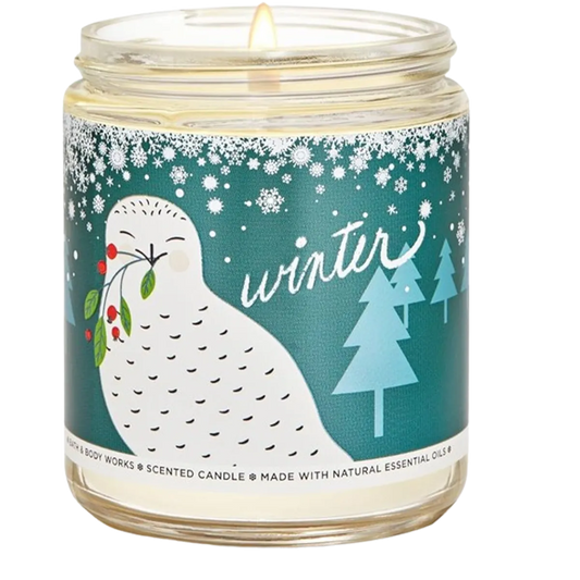 Bath & Body Works Single Wick Candle Winter
