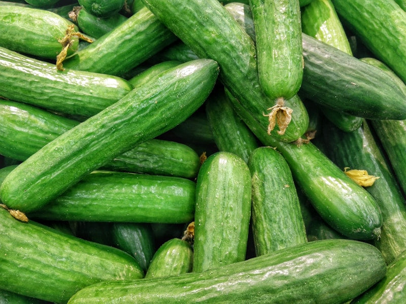 Fresh Veg Cucumber Desi
