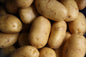 Fresh Veg Potato