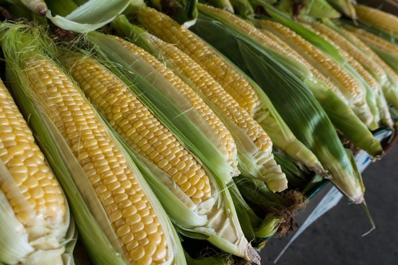 Fresh Veg Green Corn