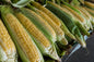 Fresh Veg Green Corn