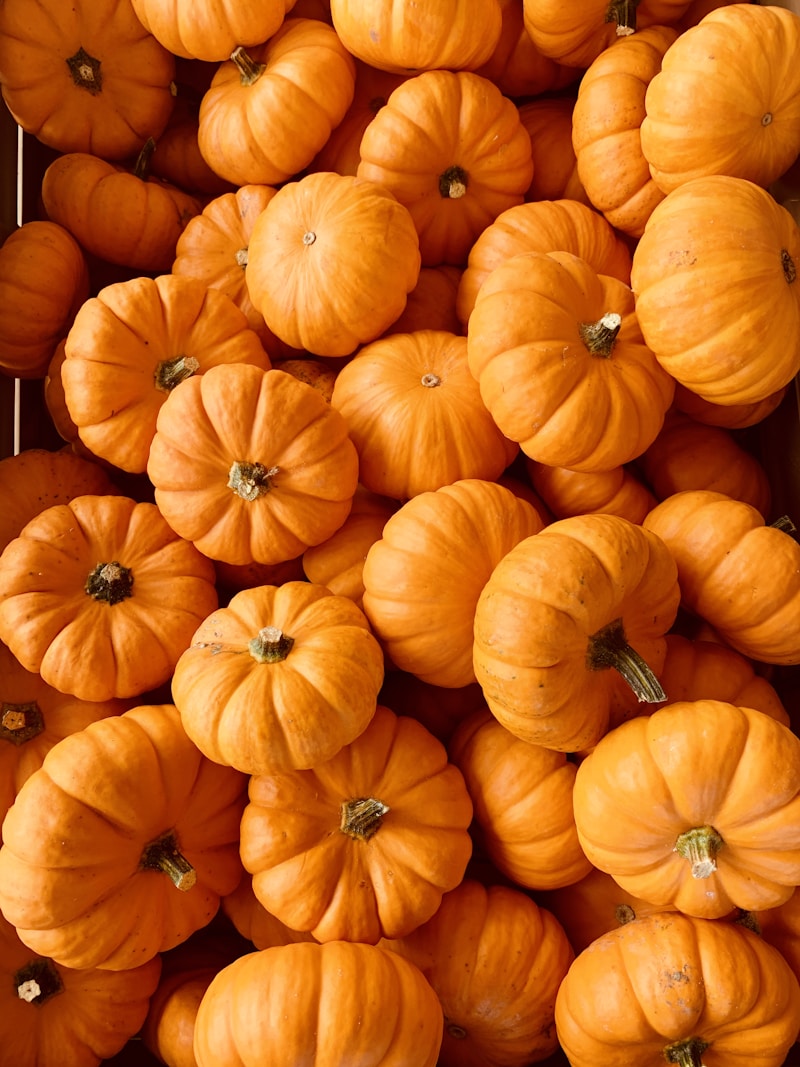 Fresh Veg Pumpkin Kaddu