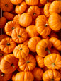 Fresh Veg Pumpkin Kaddu
