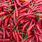 Fresh Veg Green Chilli Barik