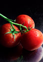 Fresh Tomato