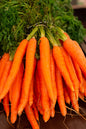 Fresh Veg Carrot Desi