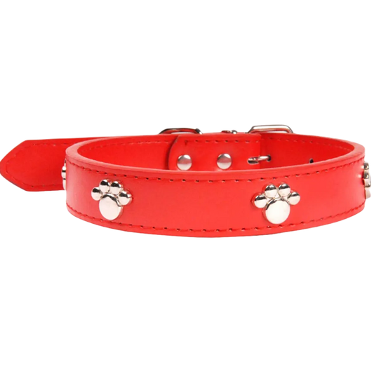 Charm Dog Collar & Leash 1.9X40Cm